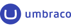 Leading UK Umbraco developers